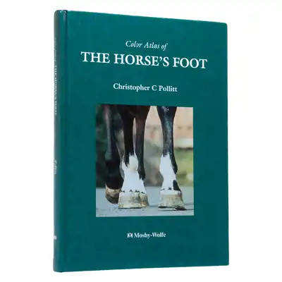 Livre The horse's foot_1